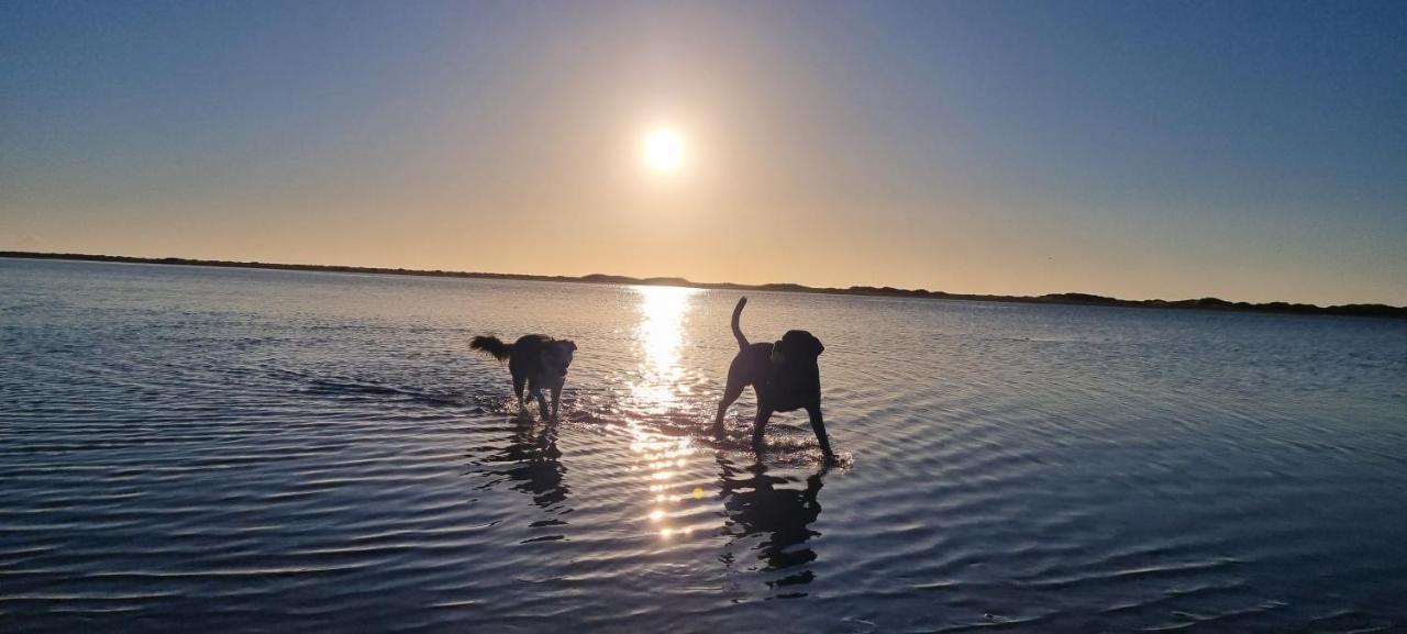 Sunshowers Plett プレッテンバーグ・ベイ エクステリア 写真